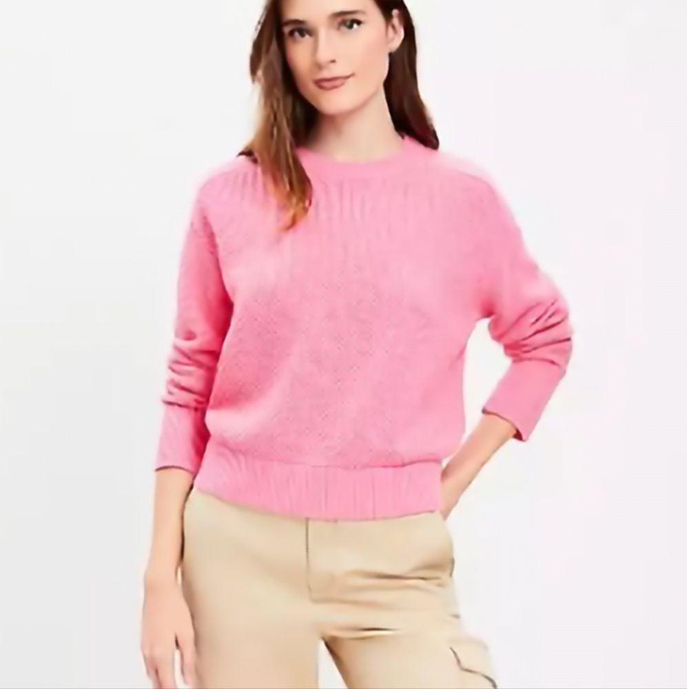 NWT Textured Saddle Sleeve Sweater
